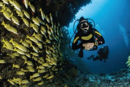 Scuba Diving In Malvan